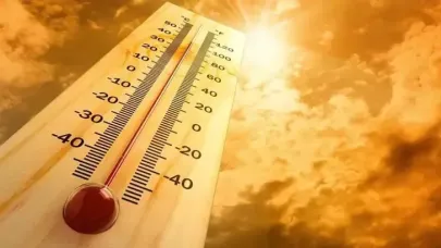 Portekiz'de aşırı sıcaklar nedeniyle son bir haftada 264 kişi hayatını kaybetti