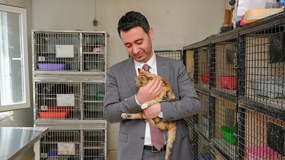 Bayraklı'da 8 bin 379 sokak hayvanı tedavi edildi