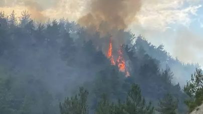 Karabük’te orman yangını