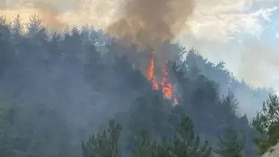 Karabük’te orman yangını