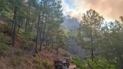 Mersin'de orman yangını