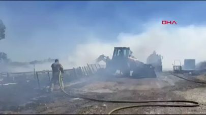 Çatalca'da otluk alanda yangın