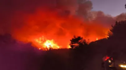 Hatay'da orman yangınlarına müdahale sürüyor