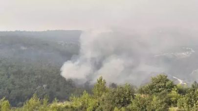 Mersin'in 2 ilçesindeki orman yangınlarına müdahale sürüyor
