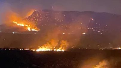 Diyarbakır’ın 2 ilçesinde çıkan yangın söndürüldü