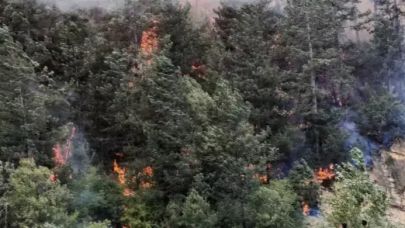 Bolu'da orman yangını