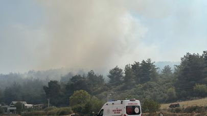Yine Hobi Baçesi, Yine Kaynak Makinesi, Yine Orman Yangını