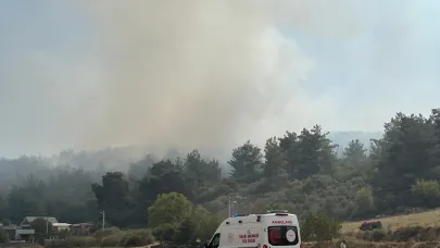 Yine Hobi Baçesi, Yine Kaynak Makinesi, Yine Orman Yangını