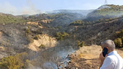 İzmir'de çıkan yangınlar kontrol altına alındı