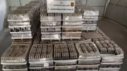 Antalya'da sahte-kaçak içki imalatçılarına operasyon