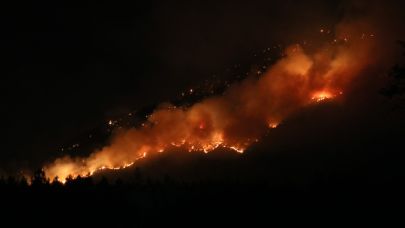 Denizli’deki orman yangını kontrol altına alındı
