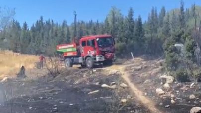 Aliağa'da ormanlık alanda yangın