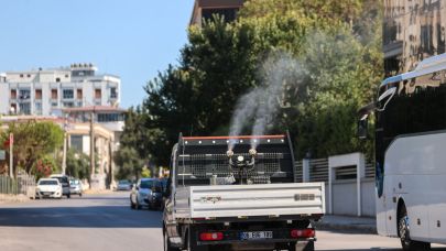 Buca’da ilaçlama atağı