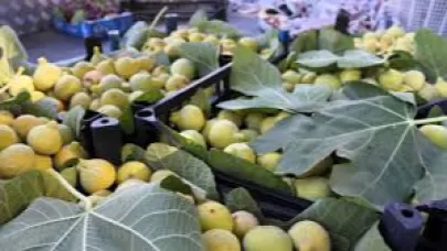 2. Buca Bardacık Şenliği’ne davet