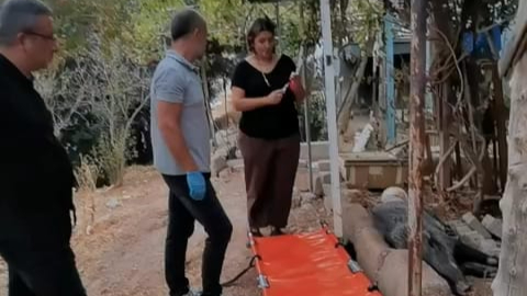 Yaralanan domuz Doğal Yaşam Parkı’nda sağlığına kavuştu