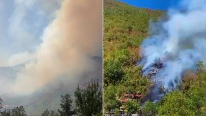 Küre Dağları Milli Parkı'nda orman yangını