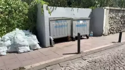 Bebeğinin cesedini çöp konteynerine atıp alışverişe gitmiş