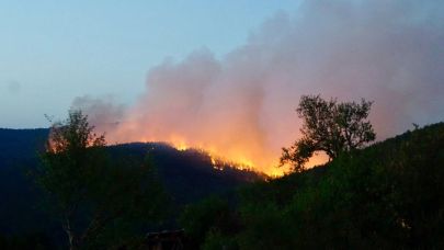 Karabük’te orman yangını 2’nci gününde