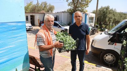 Urla Belediyesi’nden üreticiye 50 bin adet sebze fidesi