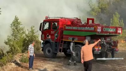 Kastamonu'daki orman yangınları 3'üncü gününde