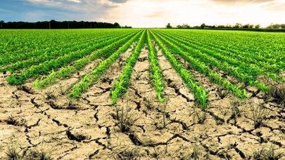 İşlenmeyen araziler kiralama modeliyle kırsal ekonomiye can verecek