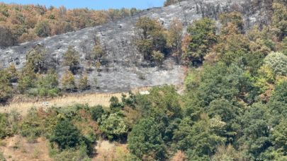 Düzce’deki yangının boyutu havadan görüntülendi