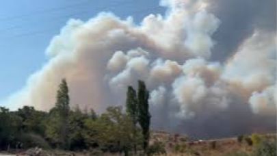 Bursa’daki orman yangını sürüyor