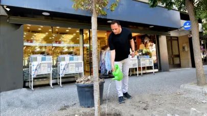 Bornova sakura ve tarçın kokacak