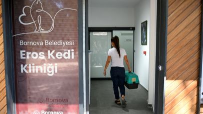 Eros Kedi Kliniği yoğun ilgi görüyor
