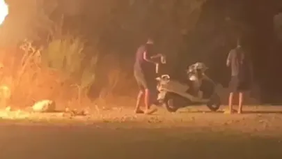 Ormanı ateşe verdiler