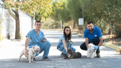 İzmir’de el konulan 20 cns köpek Işıkkent Köpek Bakımevi’nde