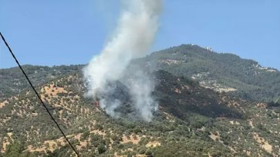 Aydın'da tarım arazisinde yangın