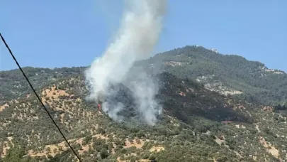 Aydın'da tarım arazisinde yangın