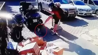 Kediyi tekmeledi tutuklandı