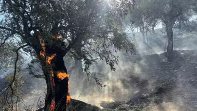 Aydın'da tarım arazisinde yangın kontrol altında