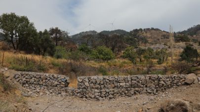 Karşıyaka Yamanlar'da yanan ormanlar yeşeriyor