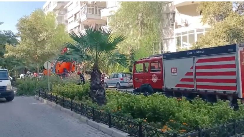 İzmir’de ağaç park halindeki otomobillerin üzerine devrildi