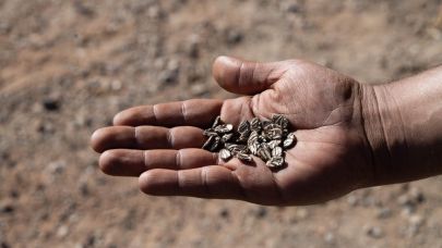 Minik eller toprakla buluştu