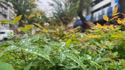 Kuraklıkla mücadele eden İzmir'de yağmur serinliği