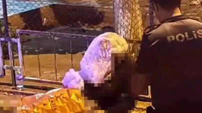 Bıçaklı dehşette cinayet şüphelisi tutuklandı