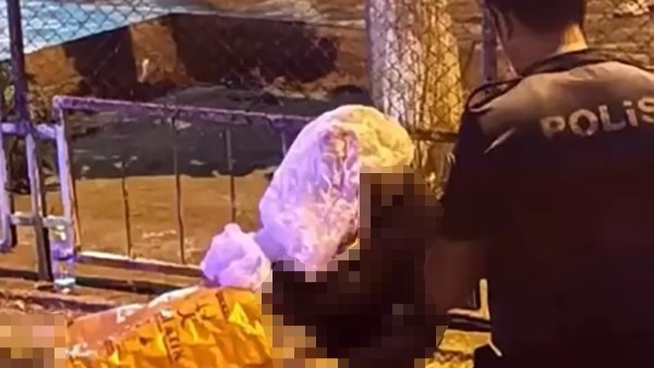 Bıçaklı dehşette cinayet şüphelisi tutuklandı