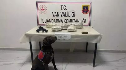 'Tütün', araçta 4 kilo skunk buldu