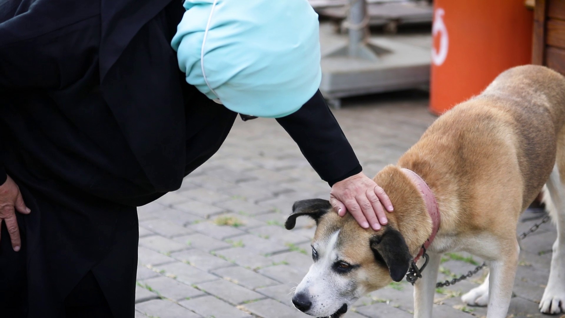 Emine Erdoğan, engelli köpeği sahiplendi