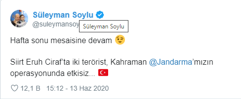 Siirt'te 2 terörist yakalandı