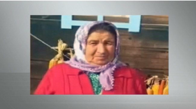 Anne hasreti son buldu