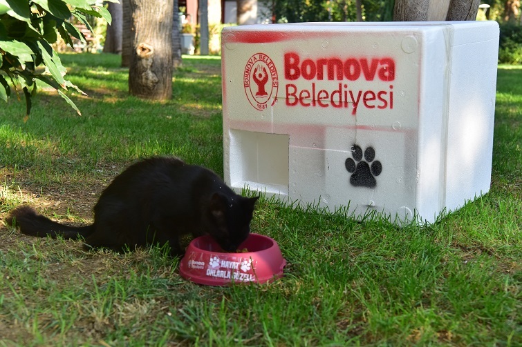 BORNOVA CAN DOSTLARIN YANINDA