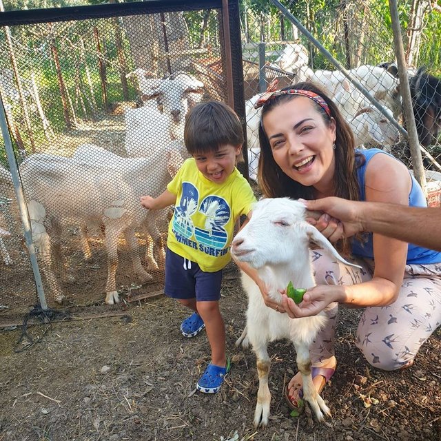 "Ali tatil falan demiyor, çalışıyor"