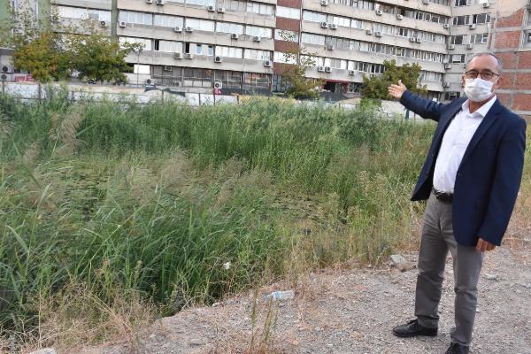 İZMİR'DE UTANDIRAN MANZARA