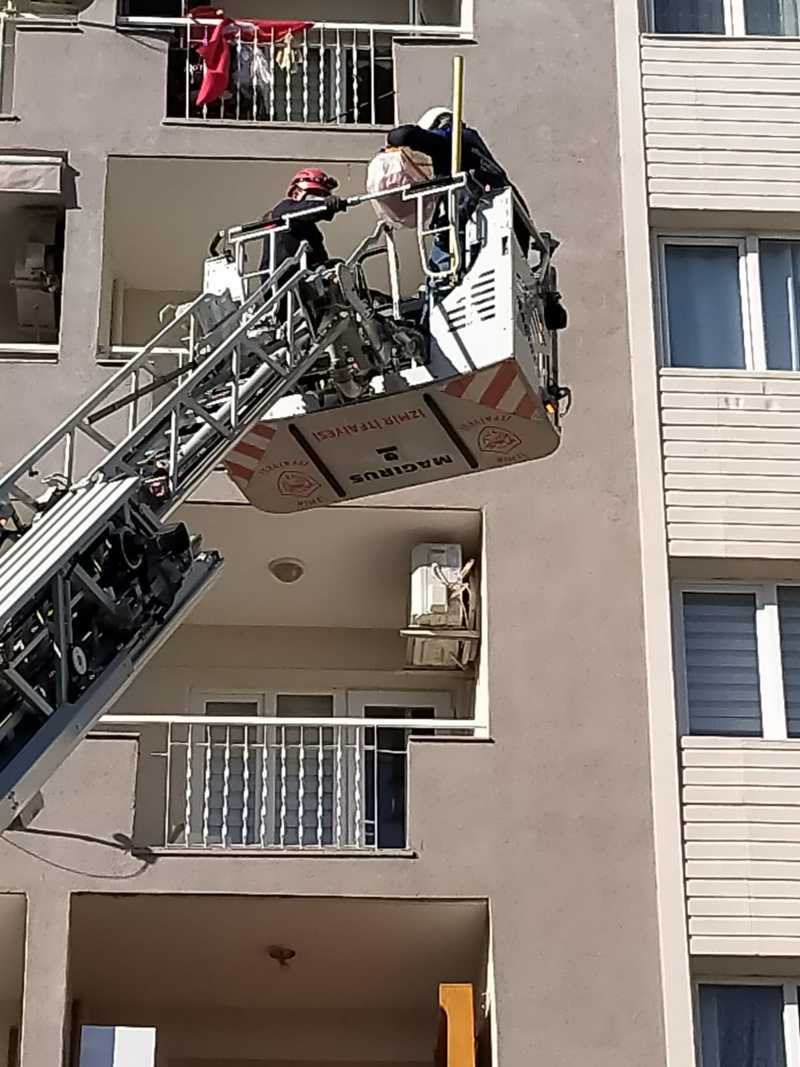 HASARLI BİNADAKİ KUŞU İTFAİYE KURTARDI