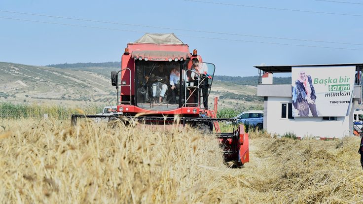 KARAKILÇIK BUĞDAYI İZMİR'İN OVALARINDA